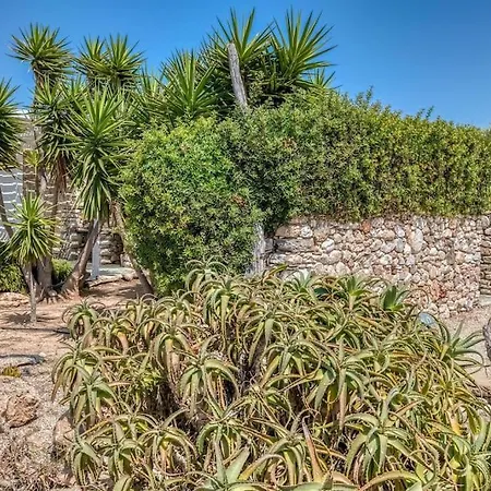 Finca - Atypical Pounda