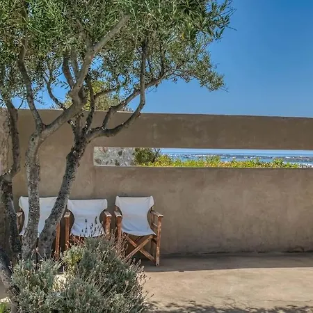 Finca - Atypical *