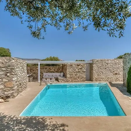 Finca - Atypical *